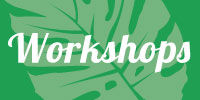 Houseplant Workshops Market Harborough